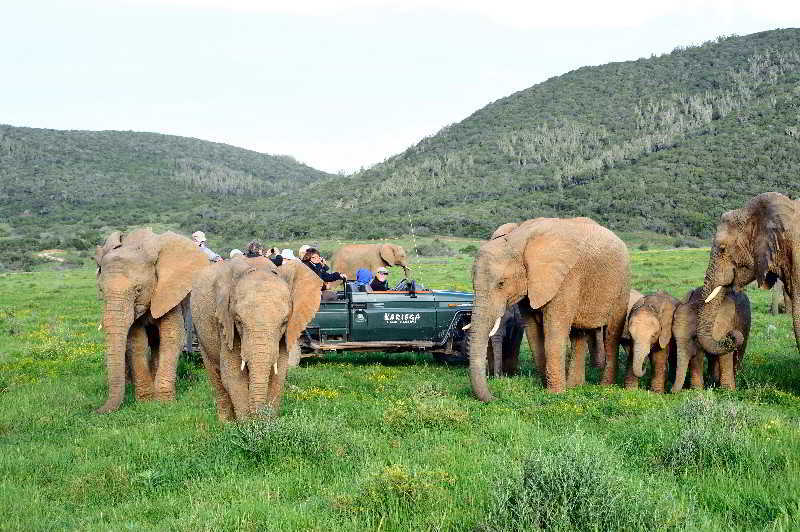 Kariega Game Reserve Bushman's River Mouth Экстерьер фото
