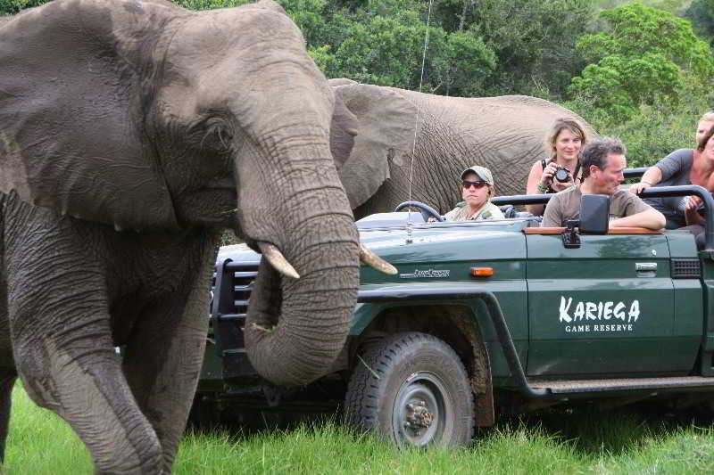 Kariega Game Reserve Bushman's River Mouth Экстерьер фото