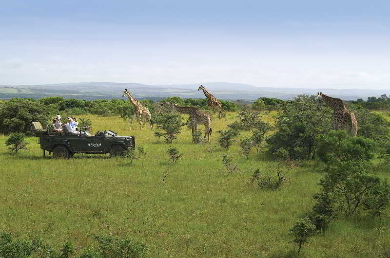Kariega Game Reserve Bushman's River Mouth Экстерьер фото