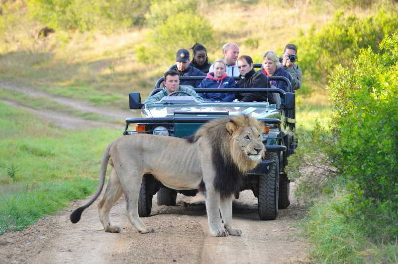 Kariega Game Reserve Bushman's River Mouth Экстерьер фото