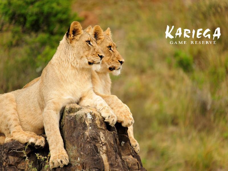 Kariega Game Reserve Bushman's River Mouth Экстерьер фото